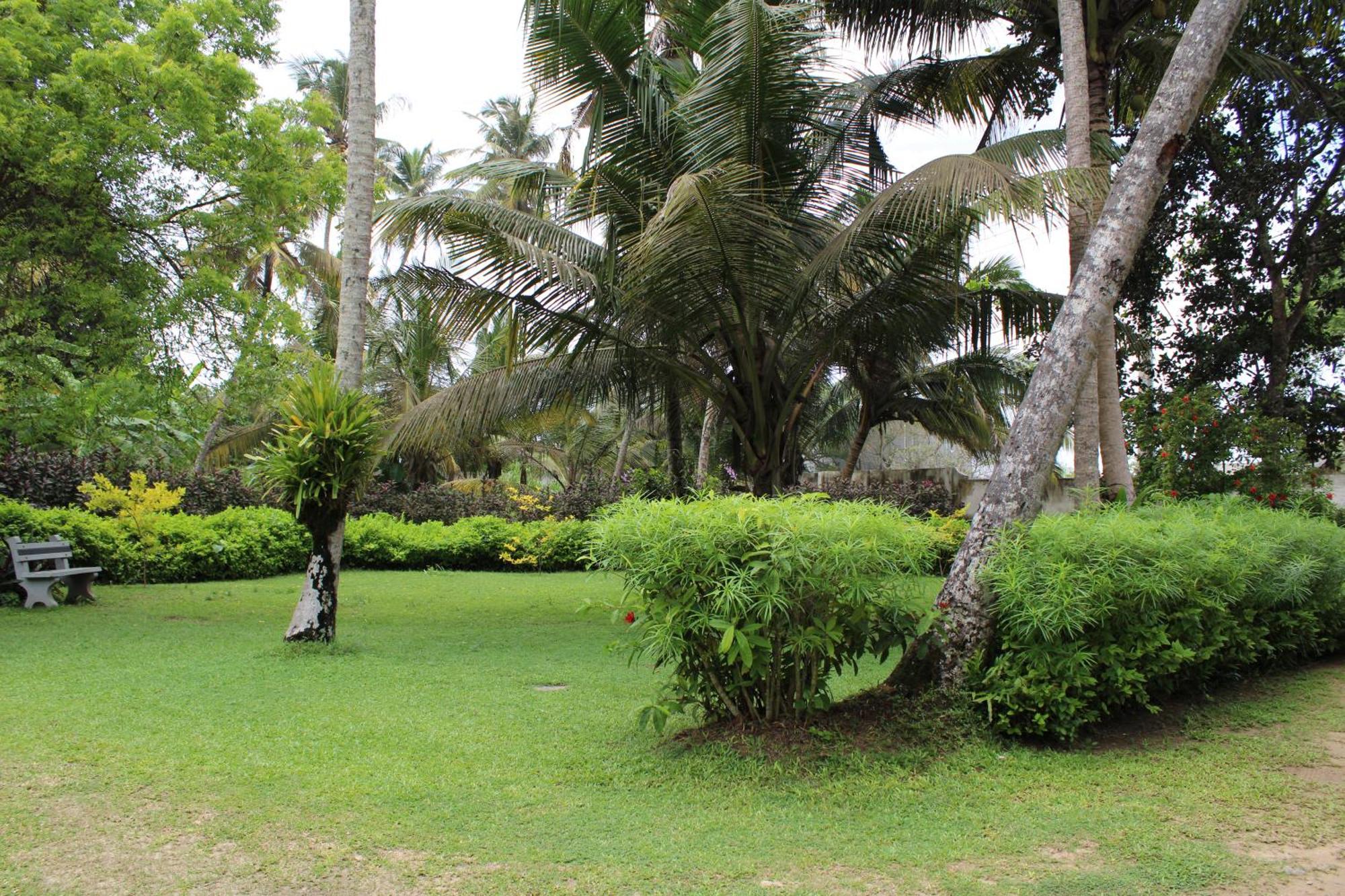 Sun And Surf Rest Hotel Ahangama Exterior photo