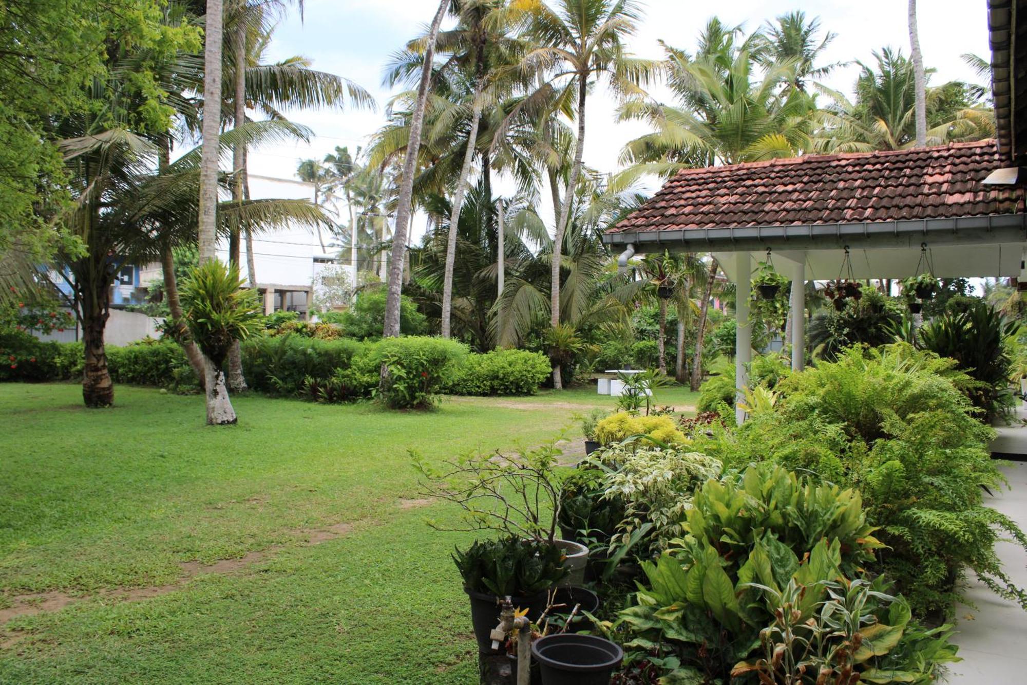 Sun And Surf Rest Hotel Ahangama Exterior photo
