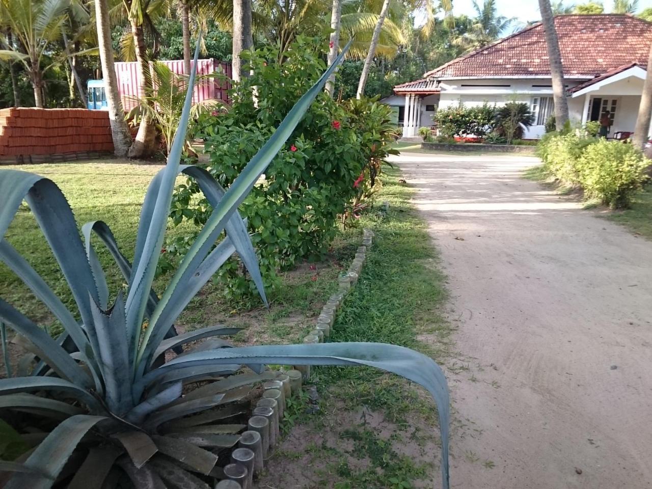 Sun And Surf Rest Hotel Ahangama Exterior photo